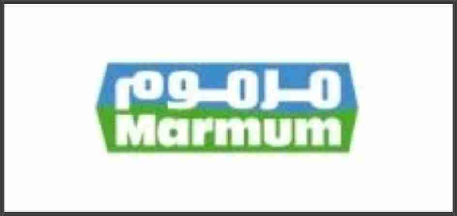 Logo 4